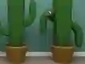 بازی Cactus Cube آنلاین