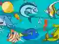 بازی Fish Differences آنلاین