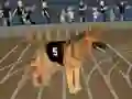 بازی Crazy Dog Racing Fever آنلاین