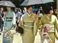 بازی 100 Butterflies in Japan آنلاین