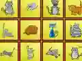 بازی Cats Findiff آنلاین