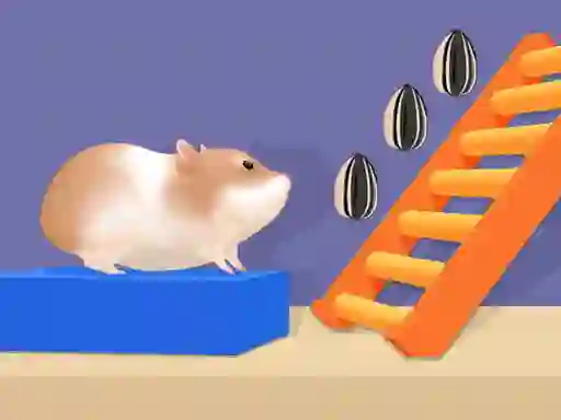 بازی Hamster Stack Maze آنلاین