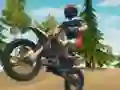 بازی Dirt Bike Enduro Racing آنلاین