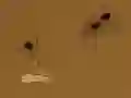 بازی Save the crumb آنلاین