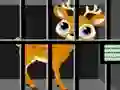 بازی Animals Rescue آنلاین