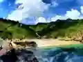 بازی Parrot House Escape آنلاین
