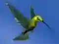 بازی Hummingbird House Escape آنلاین