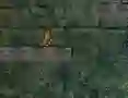 بازی Bunny Adventure آنلاین