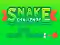 بازی Snake Challenge آنلاین