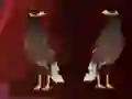 بازی Peikin Duck Escape آنلاین