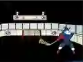 بازی Capitaine Cage Hockey آنلاین