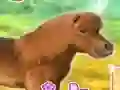 بازی My Dear Pony آنلاین
