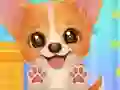 بازی Adopt Your Pet Puppy آنلاین