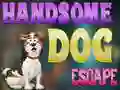 بازی Handsome Dog Escape آنلاین