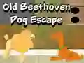 بازی Old Beethoven Dog Escape آنلاین