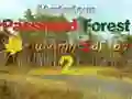 بازی Mysterious Password Forest Autumn Edition 2 آنلاین