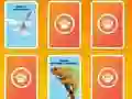 بازی National Geographic Kids Matching آنلاین