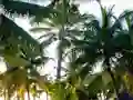 بازی Golden Statue Escape آنلاین