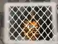 بازی Tiger Escape 1 آنلاین