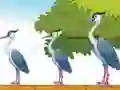 بازی Violet Bird Escape آنلاین