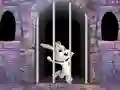 بازی Victory Rabbit Escape آنلاین