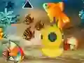 بازی Save The Mother Fish آنلاین