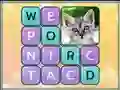 بازی Word Search Pictures آنلاین