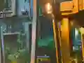 بازی Playful Tortoise Escape آنلاین