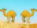 بازی Desert Gold Rush The Great Treasure Escape آنلاین