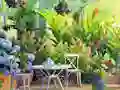 بازی Find The Cute Pandas آنلاین
