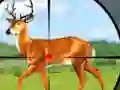 بازی Wild Hunt Hunting Games 3D آنلاین