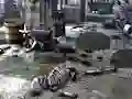 بازی Friends Rescue From Skeleton آنلاین
