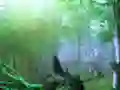 بازی Trapped Honeybee Escape آنلاین