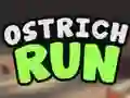 بازی Ostrich Run آنلاین
