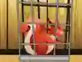 بازی Rescue The Red Squirrel From Cage آنلاین