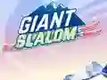 بازی Giant Slalom آنلاین