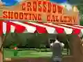 بازی Crossbow Shooting Gallery آنلاین