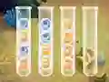 بازی Sort Bubbles آنلاین