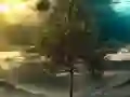 بازی Illusion Jungle Fairy Escape آنلاین