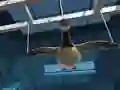 بازی Goose Museum آنلاین