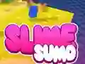 بازی Sumo Slime 3D آنلاین