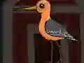 بازی Cute Godwit Escape آنلاین