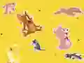 بازی The Tom and Jerry Show Find it! آنلاین
