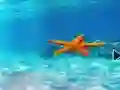 بازی Escape From Underwater Starfish آنلاین
