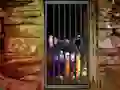 بازی Hidden Cat Escape آنلاین