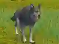 بازی The Wolf: Wild Animal Simulator آنلاین