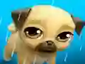 بازی My Virtual Pet Louie the Pug آنلاین