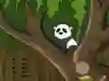 بازی Panda Jungle Escape آنلاین