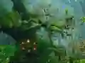 بازی Innocent Sparrow Couple Escape آنلاین
