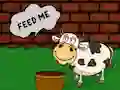 بازی Find The Cow Feed آنلاین